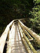 4.30.06 Hamilton Mountain 027 